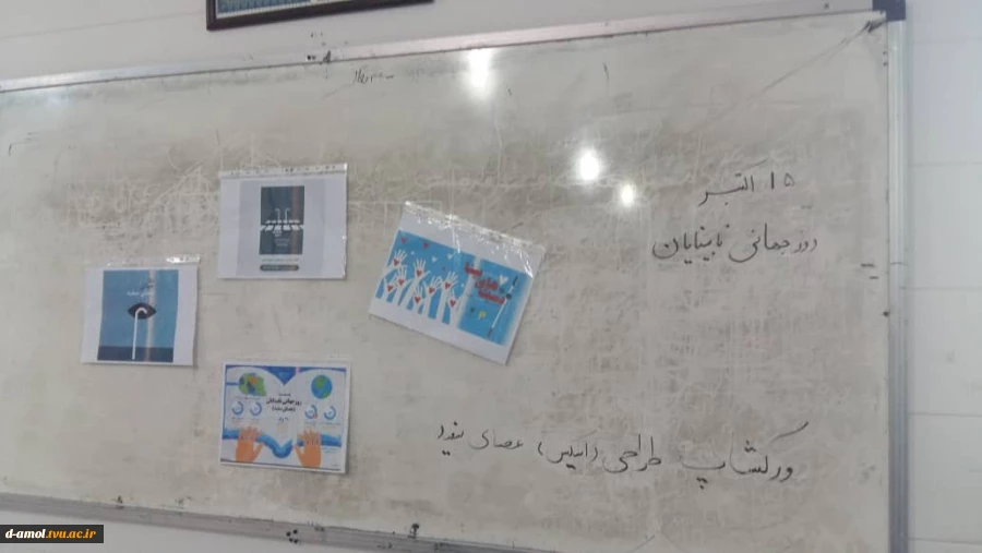 گرامیداشت روز جهانی عصای سفید  7