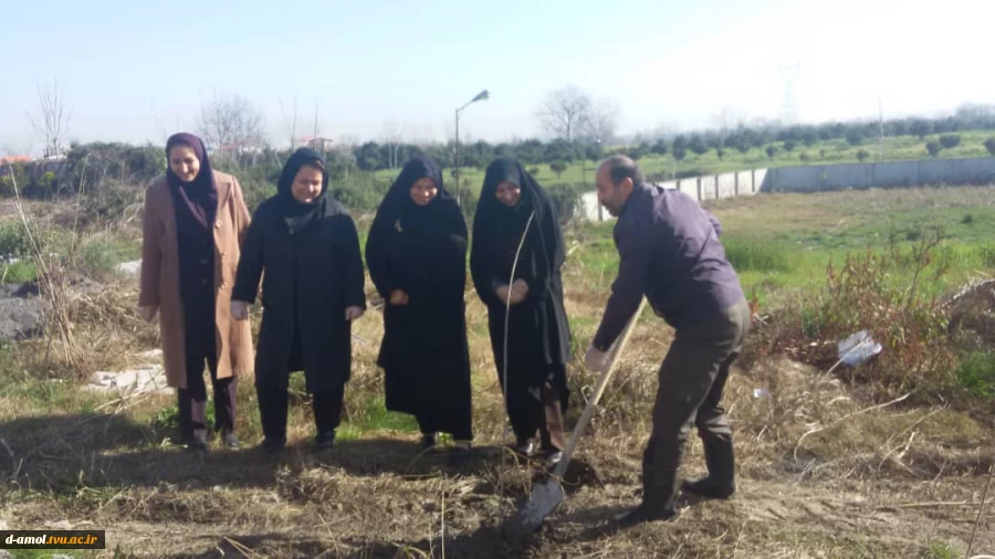 کاشت نهال در روز درختکاری 2